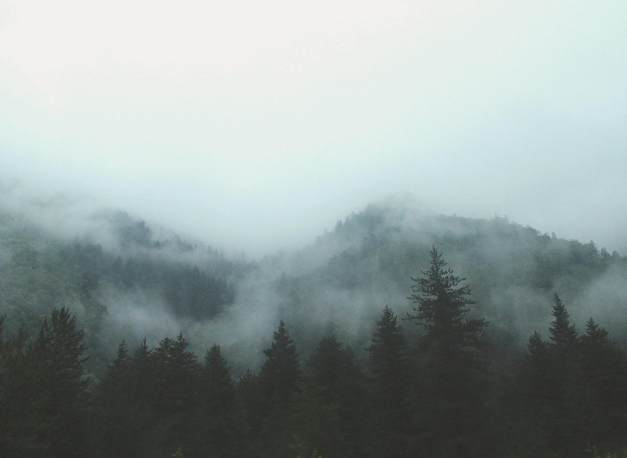 foggy mountaintops and forest